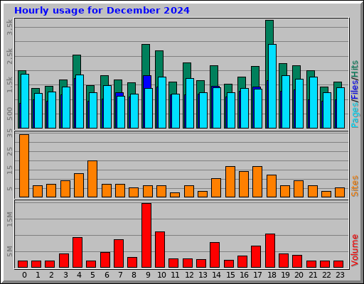 Hourly usage for December 2024